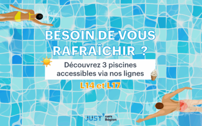 Cet été, plongez dans notre sélection rafraîchissante !